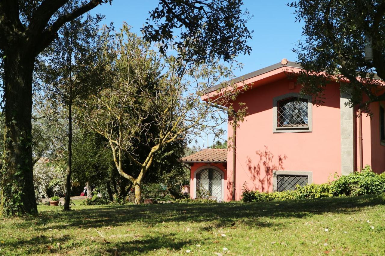 B&B Ai Glicini - Castelli Romani มารีโน ภายนอก รูปภาพ