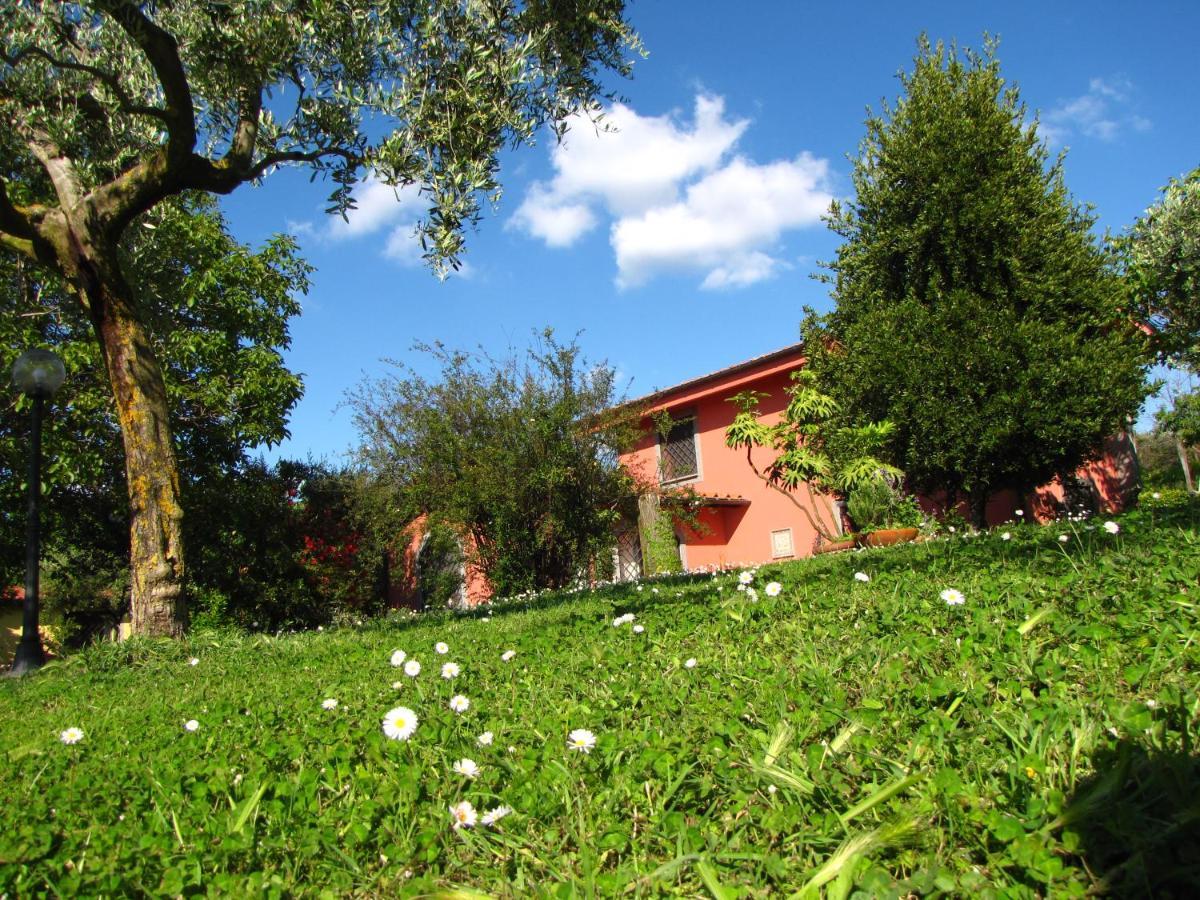 B&B Ai Glicini - Castelli Romani มารีโน ภายนอก รูปภาพ