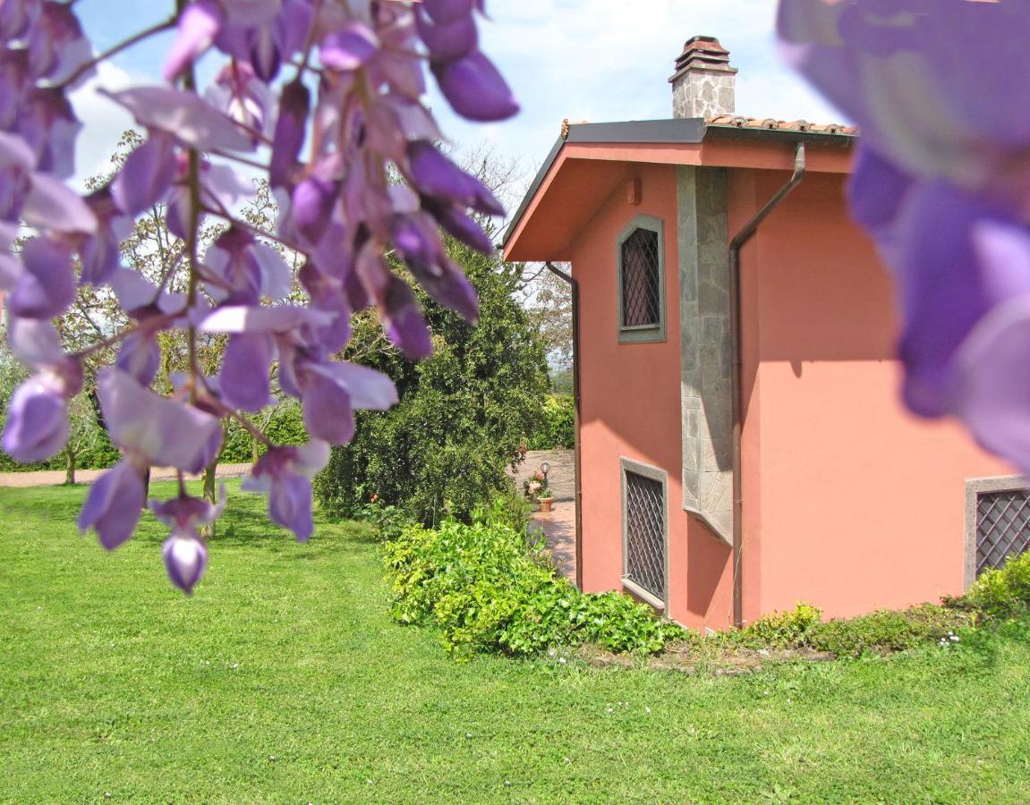 B&B Ai Glicini - Castelli Romani มารีโน ภายนอก รูปภาพ