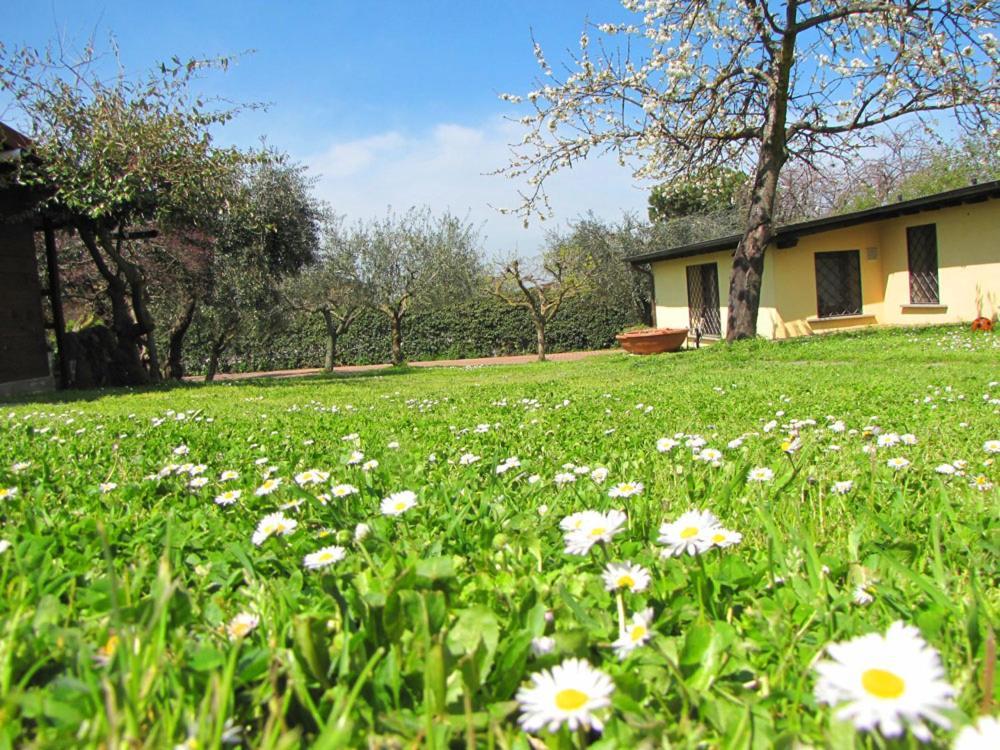 B&B Ai Glicini - Castelli Romani มารีโน ภายนอก รูปภาพ