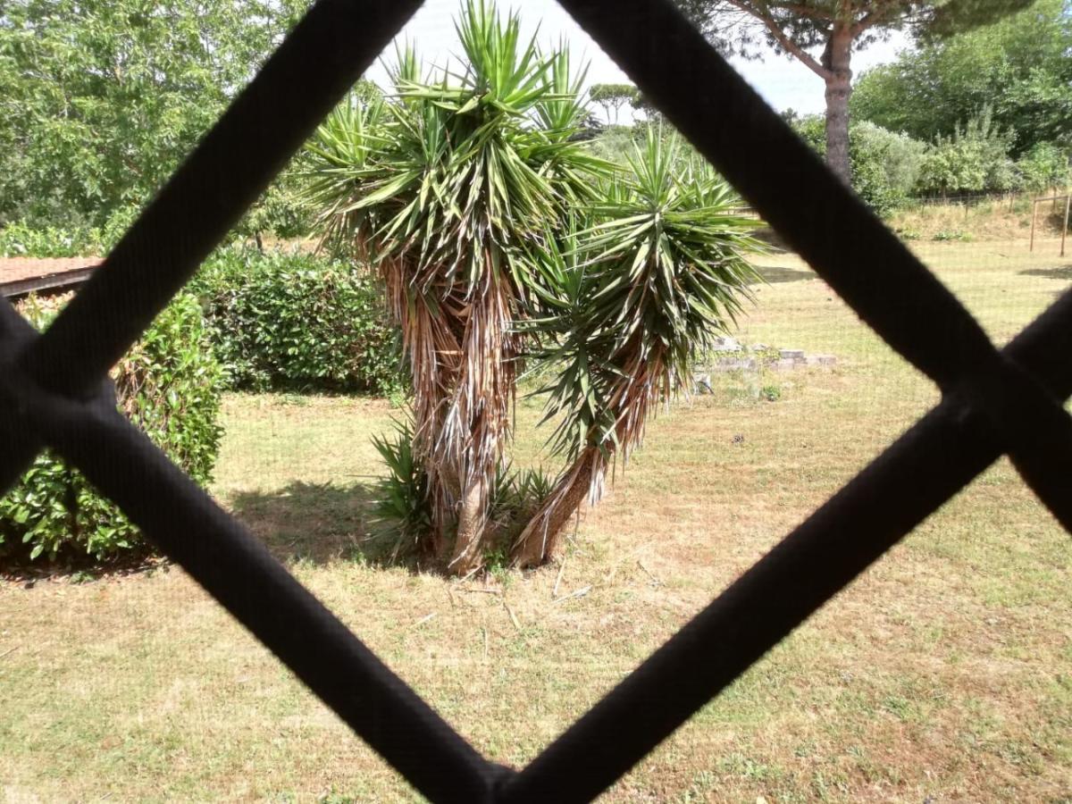 B&B Ai Glicini - Castelli Romani มารีโน ภายนอก รูปภาพ