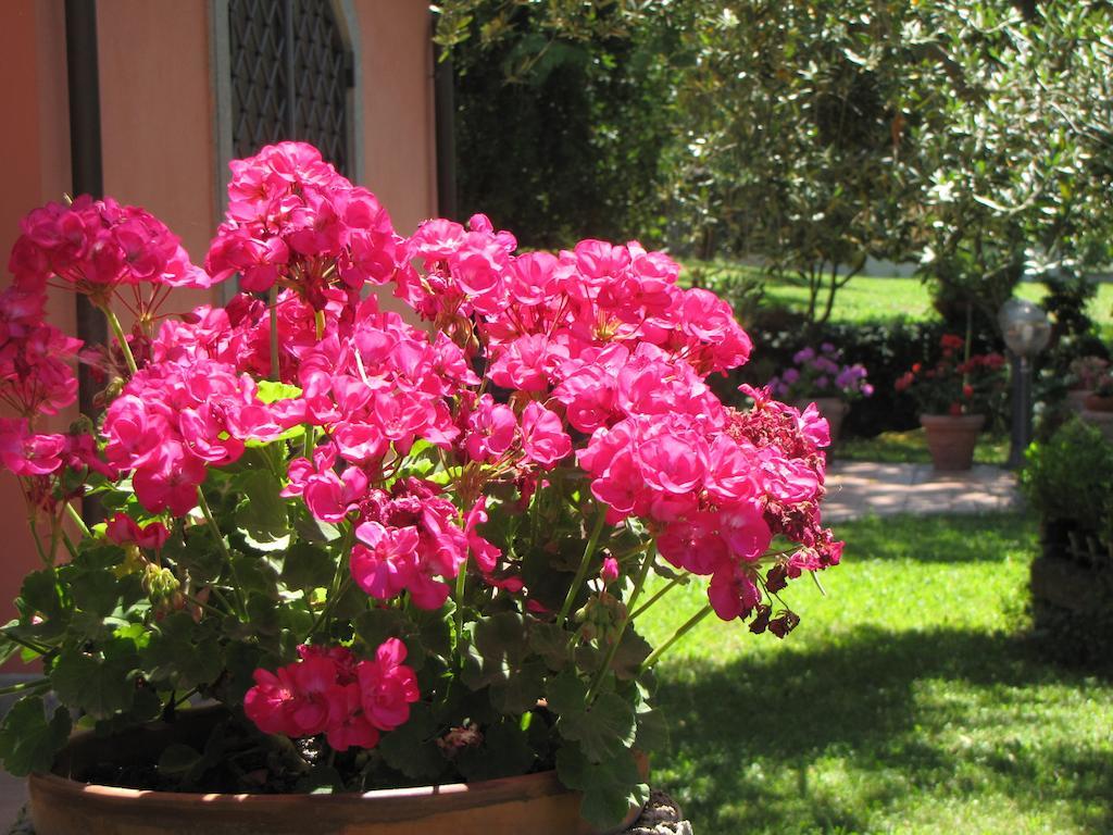 B&B Ai Glicini - Castelli Romani มารีโน ภายนอก รูปภาพ
