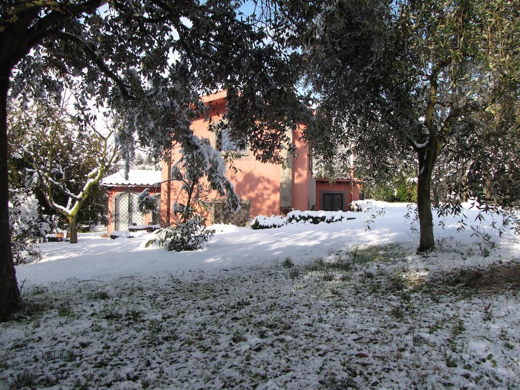 B&B Ai Glicini - Castelli Romani มารีโน ภายนอก รูปภาพ