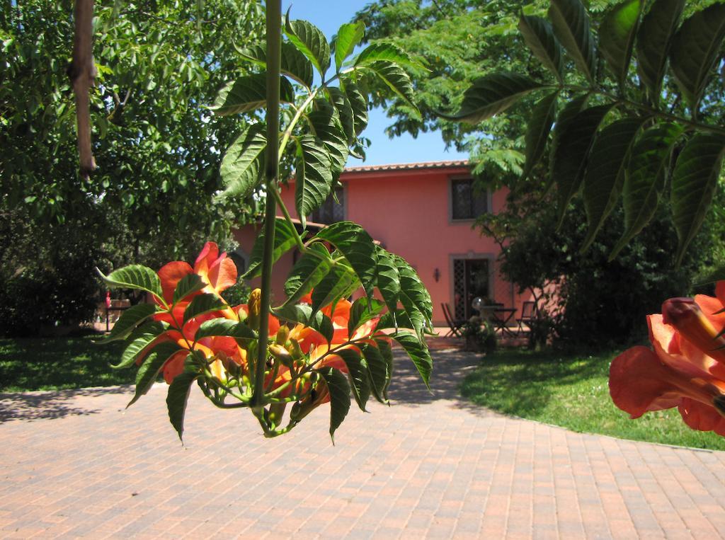 B&B Ai Glicini - Castelli Romani มารีโน ภายนอก รูปภาพ
