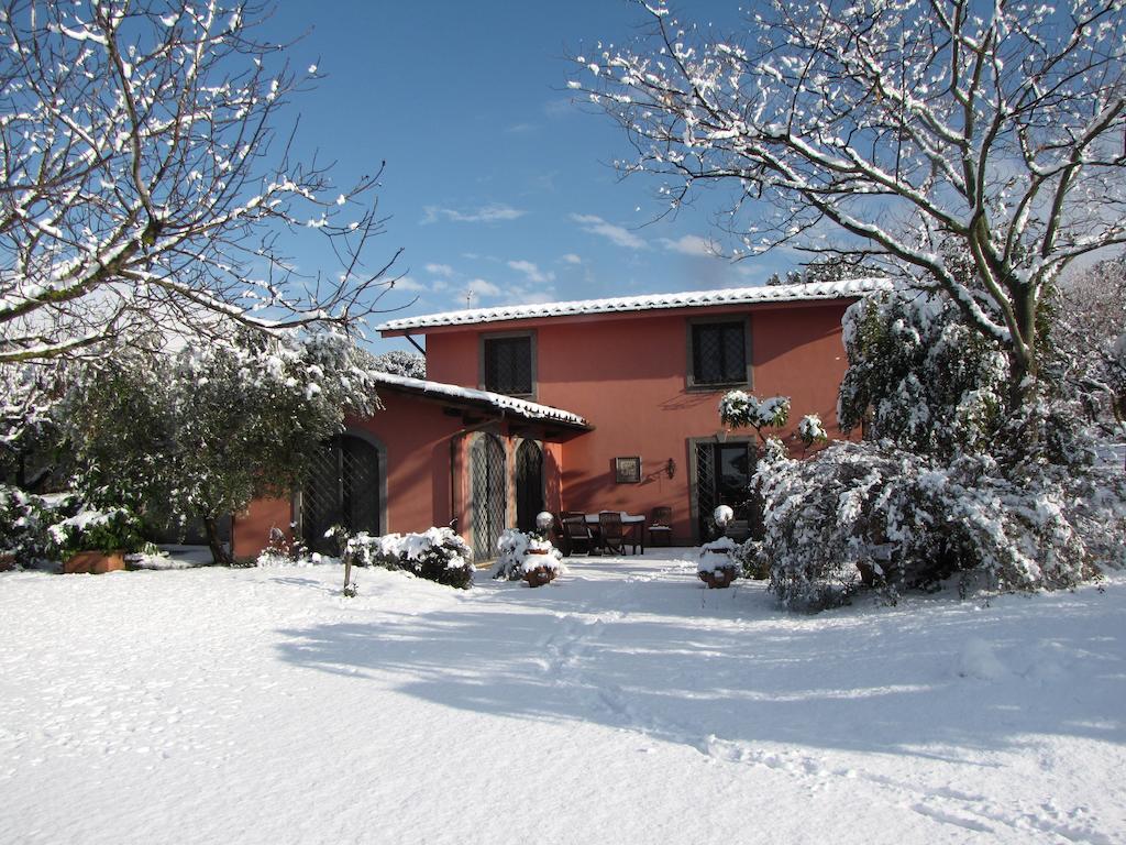 B&B Ai Glicini - Castelli Romani มารีโน ภายนอก รูปภาพ